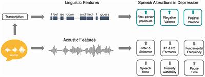 Natural Language Processing as an Emerging Tool to Detect Late-Life Depression